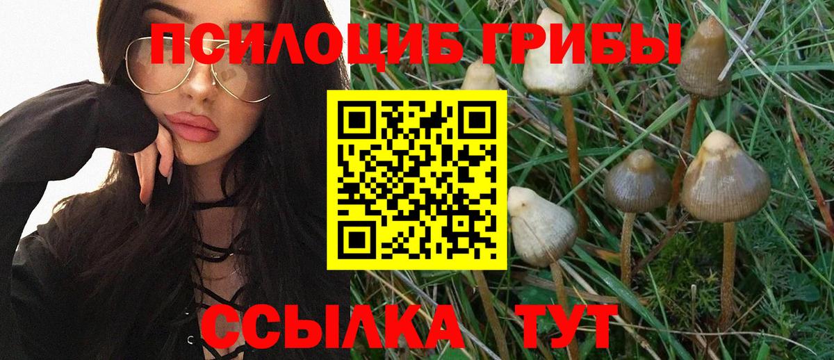 Псилоцибиновые грибы прущие грибы Серпухов